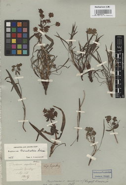 LE 00015714
