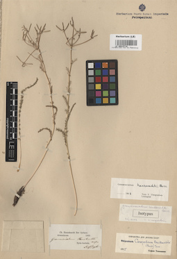 LE 00015718