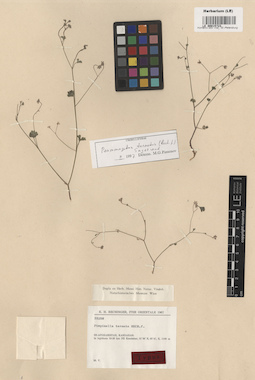 LE 00015723