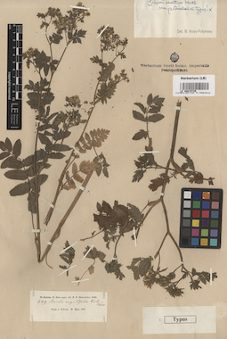LE 00015725