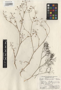 LE 00015727