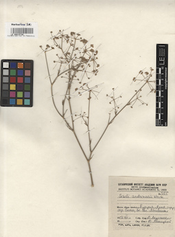 LE 00015730