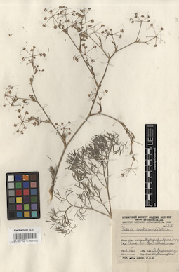 LE 00015734