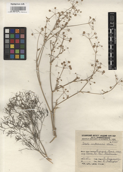 LE 00015739