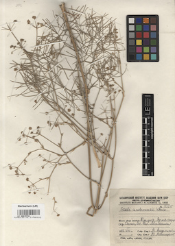 LE 00015741