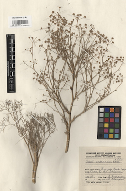 LE 00015743