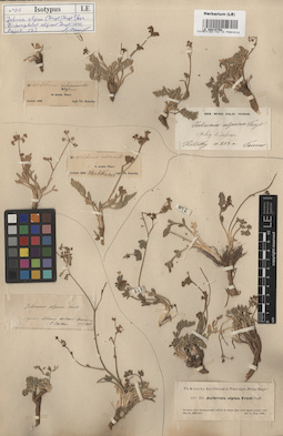 LE 00015750