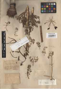 LE 00015762