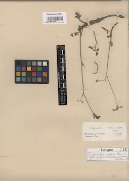 LE 00015780