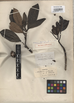 LE 00015790