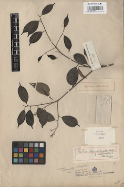 LE 00015792