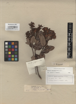 LE 00015799