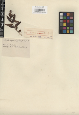 LE 00015813