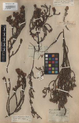 LE 00015828