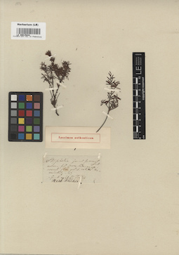 LE 00015844