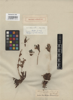 LE 00015845
