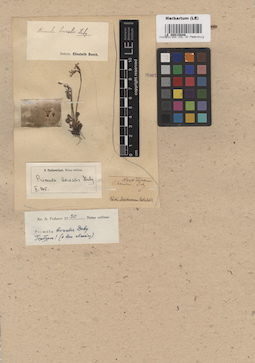 LE 00015848