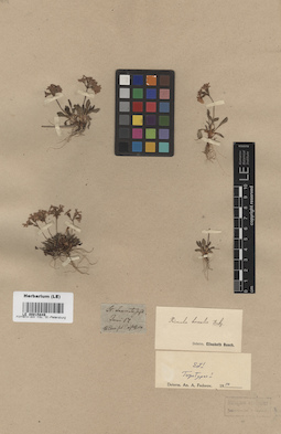 LE 00015849