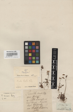 LE 00015851
