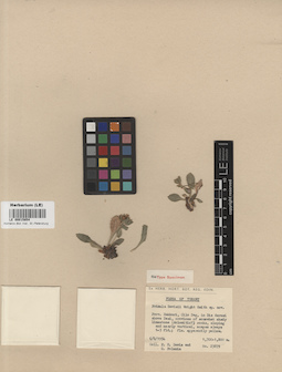 LE 00015854