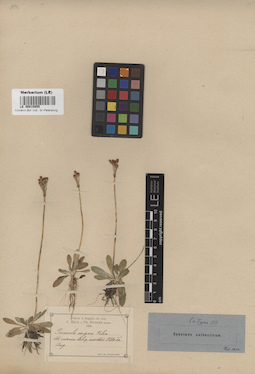 LE 00015855