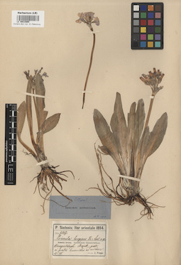 LE 00015865