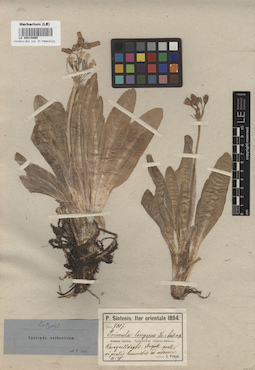 LE 00015866