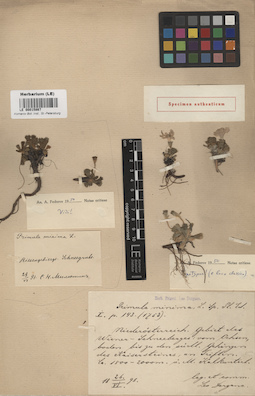 LE 00015867