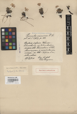 LE 00015868