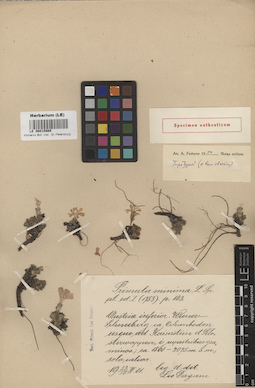 LE 00015869