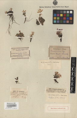 LE 00015870