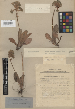 LE 00015872
