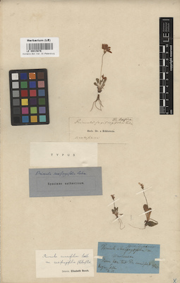 LE 00015876