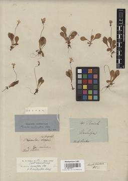 LE 00015877