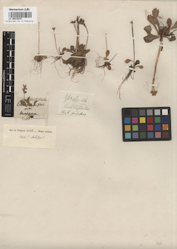 LE 00015878