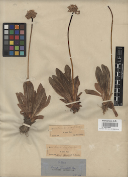LE 00015880