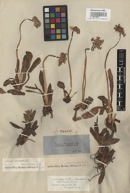 LE 00015883