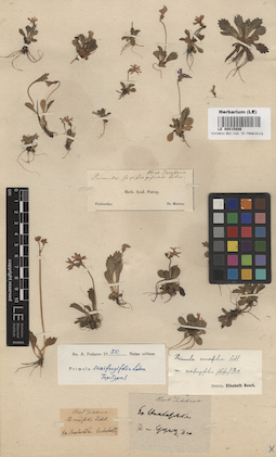 LE 00015886