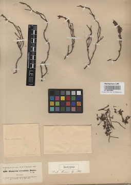 LE 00015902