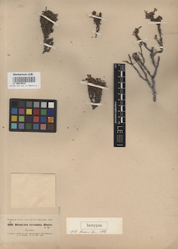 LE 00015914