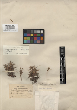 LE 00015921