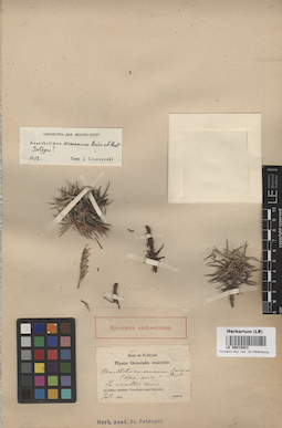 LE 00015923