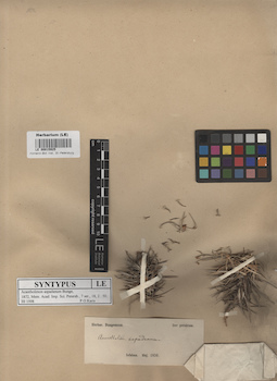 LE 00015925
