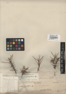 LE 00015970