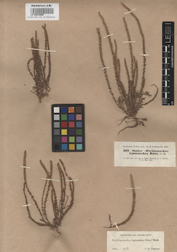 LE 00015995