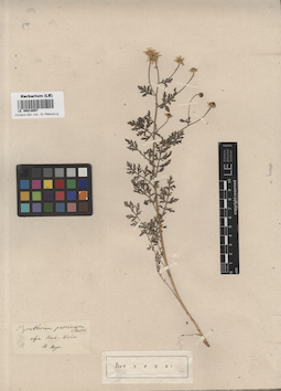 LE 00018097