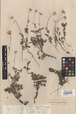 LE 00018102