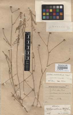 LE 00018105