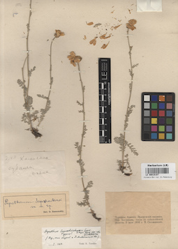 LE 00018107