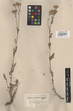 LE 00018108